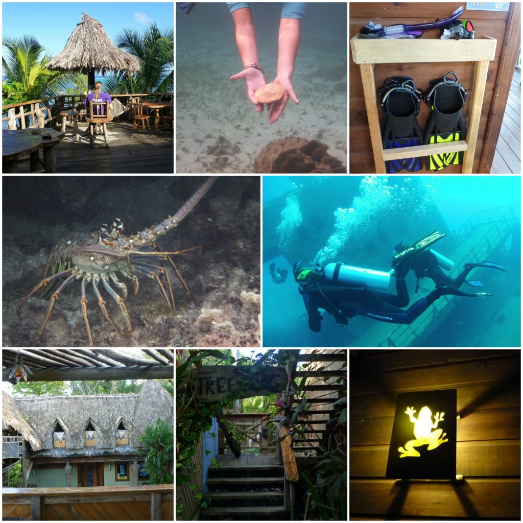 Tranquilseas Eco Lodge - Roatan Honduras