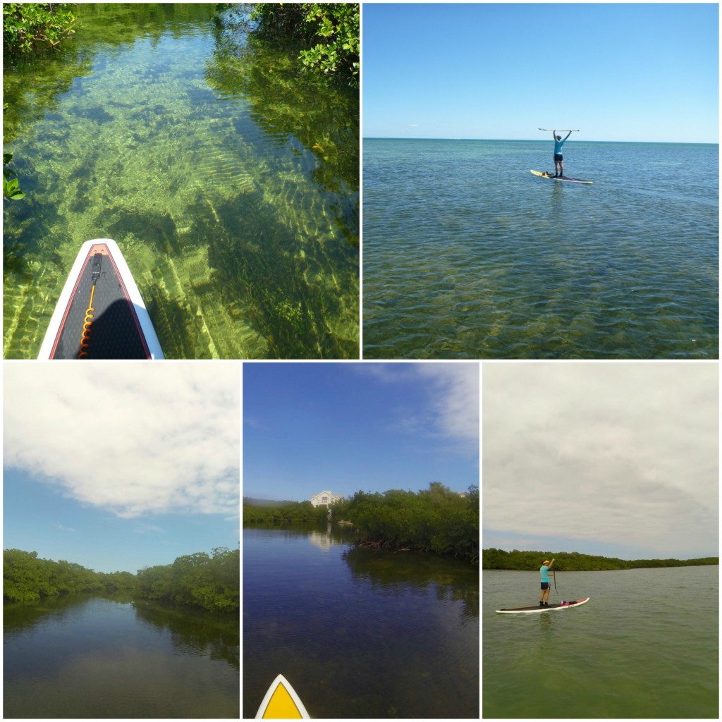 Florida Keys Stand Up Paddle Board